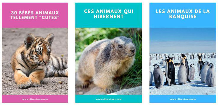 les thématiques animaux de diconimoz