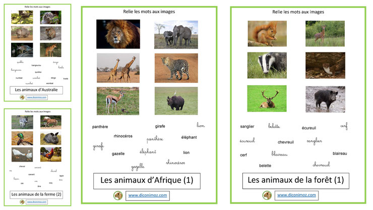 cartes fiches nomenclature relie les mots correspondants animaux ecriture cursives maternelle apprentissage enfants pedagogiques