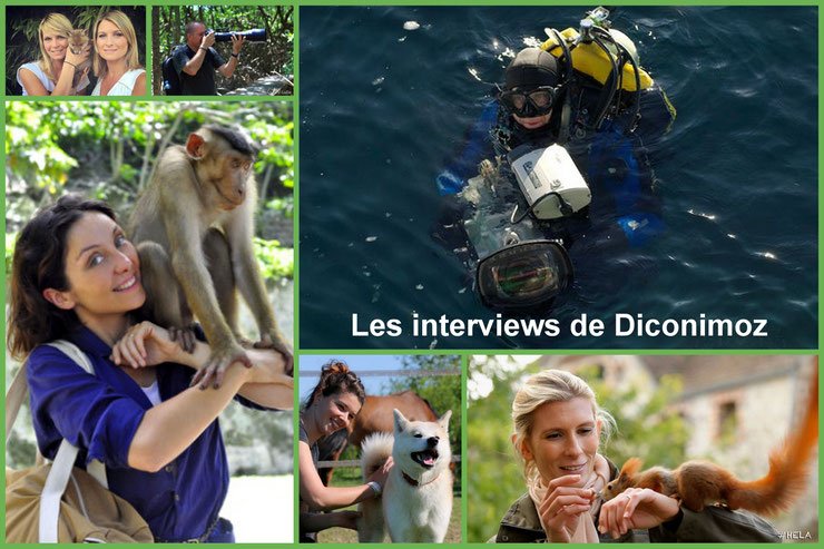 interview metier diconimoz perrine corsmary laurent baheux helene gateau sandrine arcizet elodie ageron mario cyr cyril leduc emanuelle lethon