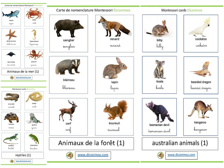 carte de nomenclature montessori sur les animaux sauvages et animaux de la ferme