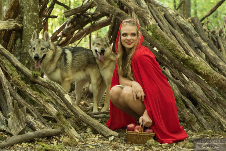 animaux histoire chaperon rouge chien loup tchecoslovaque fille shooting photographe lyon villefranche tarare feurs