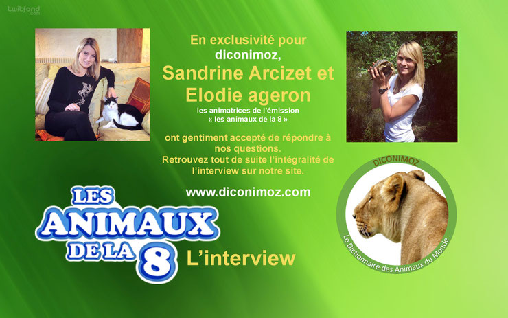 interview animaux de la 8 elodie ageron sandrine arcizet c8