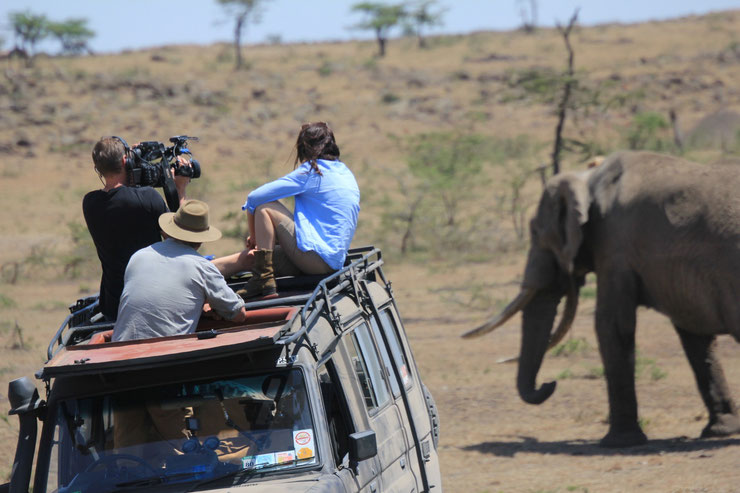 planete+ planete safari tournage interview perrine crosmary