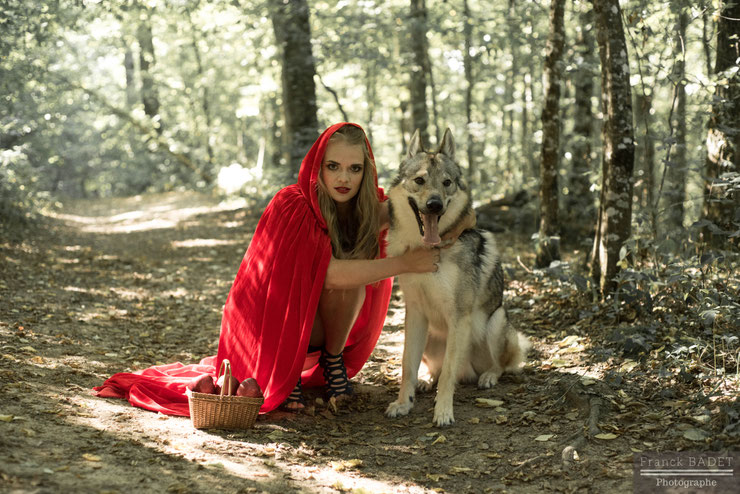 chaperon rouge little red riding hood dog wolf animaux shooting photographe lyon tarare villefranche
