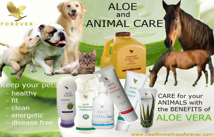 produits bien etre animal animaux gel aloe vera vertu sante soins animal care forever veterinaire chevaux chat chien