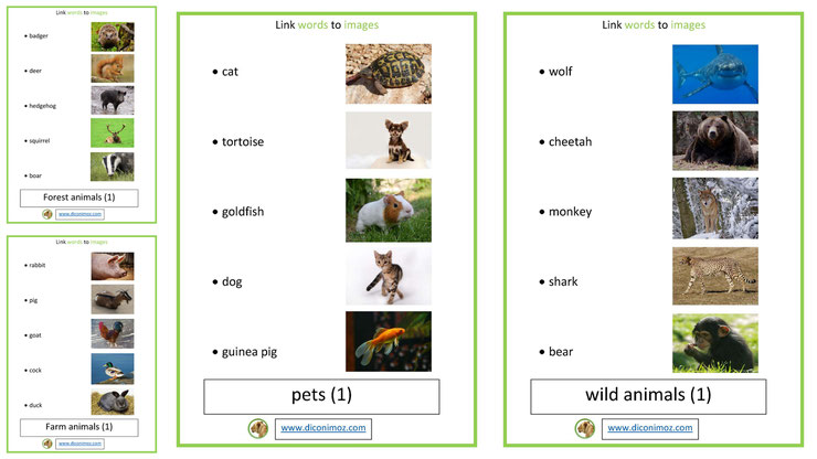 lin word to images relie les mots aux animaux apprend l'anglais en t'amusant avec les fiches de diconimoz