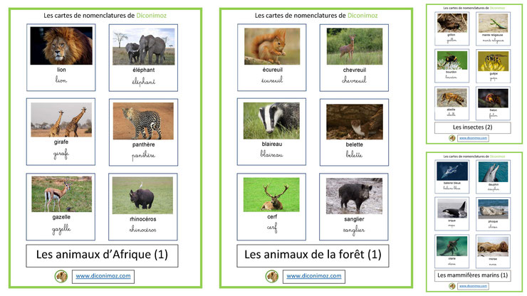 cartes fiches nomenclature animaux ecriture cursives maternelle apprentissage enfants pedagogiques