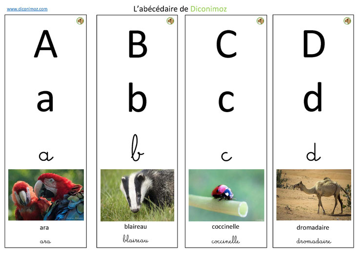 Cartes de nomenclature les animaux de la foret – Lud'Y Key