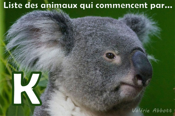 Liste des animaux commençant par la lettre "K"