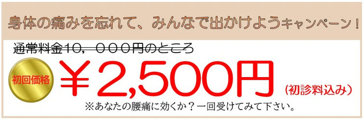 初回価格2500円で案内中。ぜひお試しを