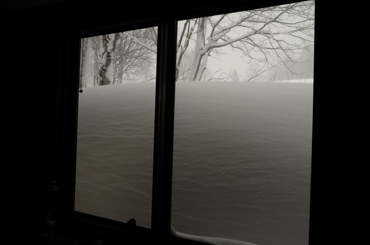 こんもりと、窓越しの粉雪達。 オードヴィー