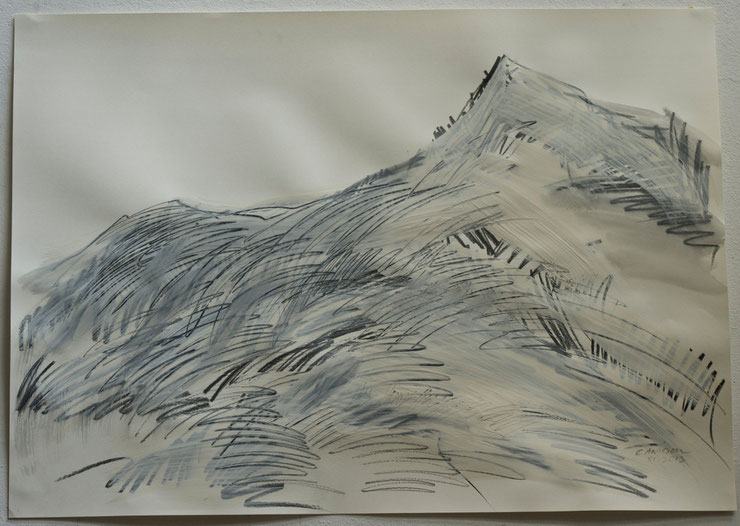 canigou  /  pyrenées  2013  gouache  feltpen  oilcrayon on paper    50  x  70   cm