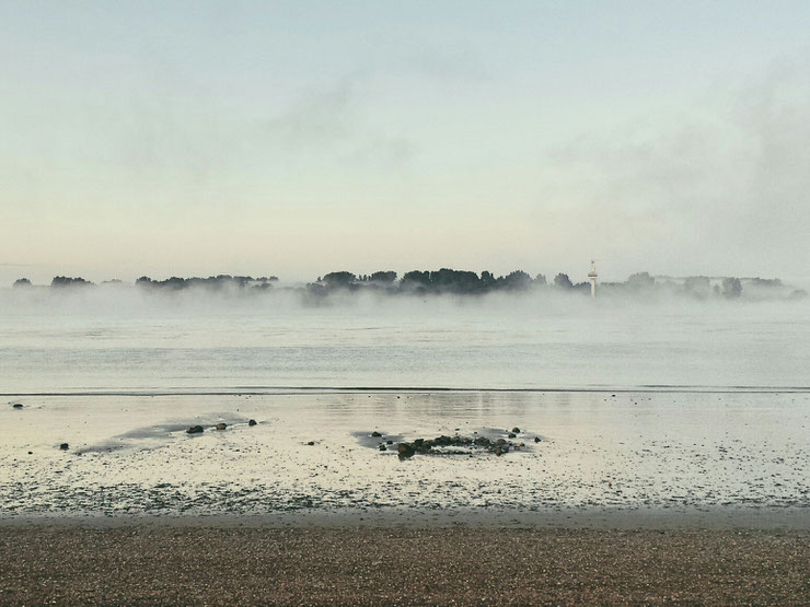 nebel, morgennebel, septembernebel, elbe