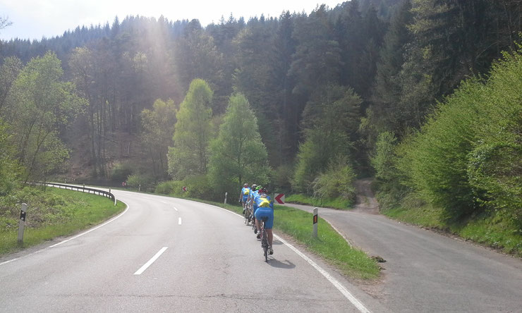 21.04.2014 - Fahrt durch den Pfälzer Wald