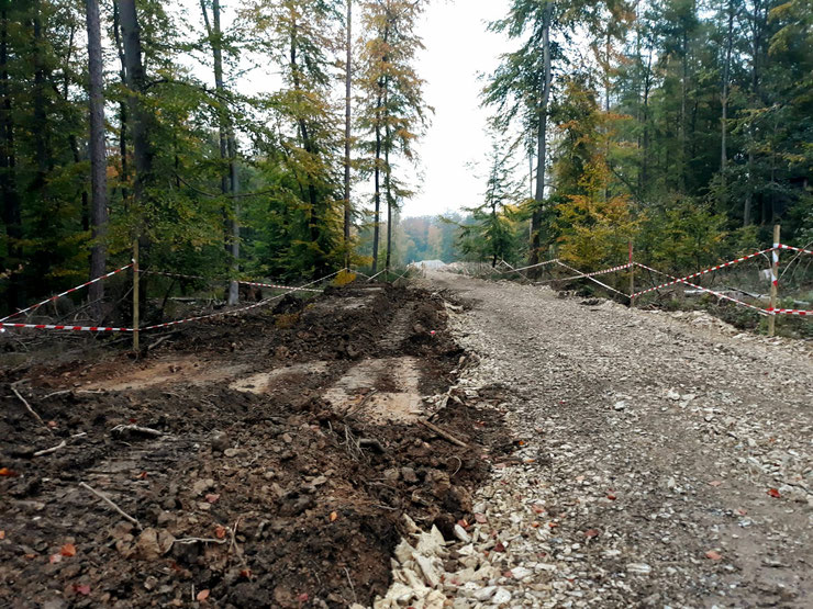 Wie auf diesem Bild - anderenorts auafgenommen - könnten die Transportwege im Reinhardswald aussehen.