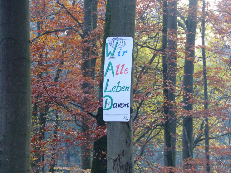 Protestaktion eines unbekannten Waldschützers im Maulbacher Wald, copyright B. Schlemmer