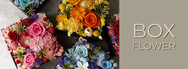 boxflower banner
