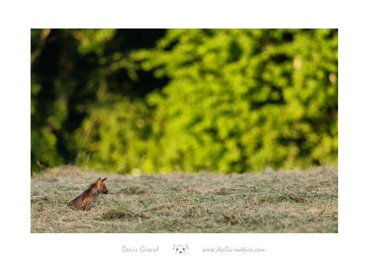 (réf. PdM 2018_092)