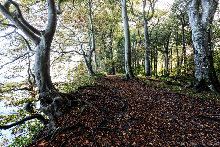 Rügen Herbst 2017