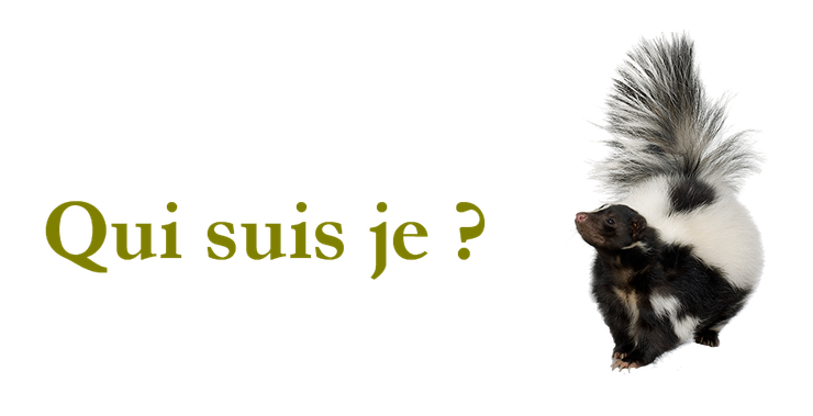 qui suis je ne confondez plus ces animaux