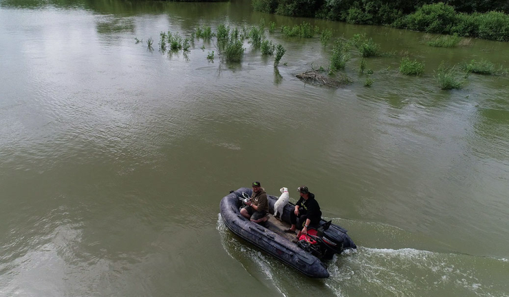 Welsangeln in Deutschland mit Welsguide Peter Merkel auf den Rhein und Neckar