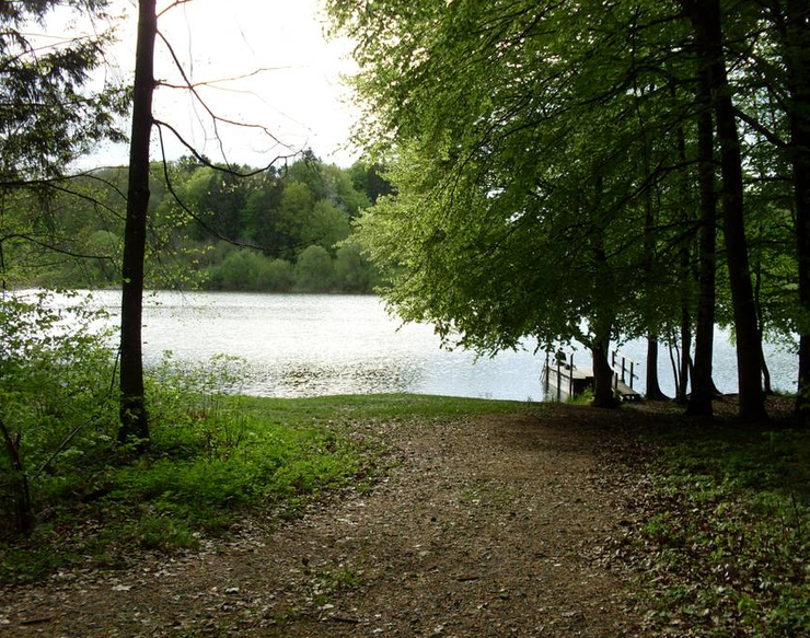 ... unser Tourziel am Samstag ist der Niklassee bei Olzreute/Steinhausen ...