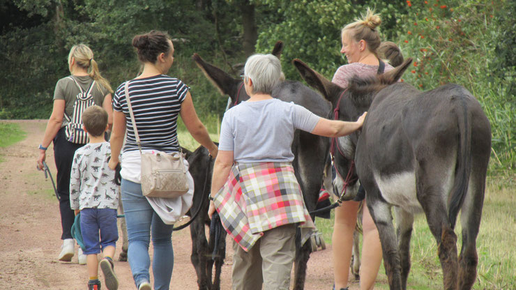 Ezelwandeling Egotherapie met assistentie van Dieren ezels in Duffel