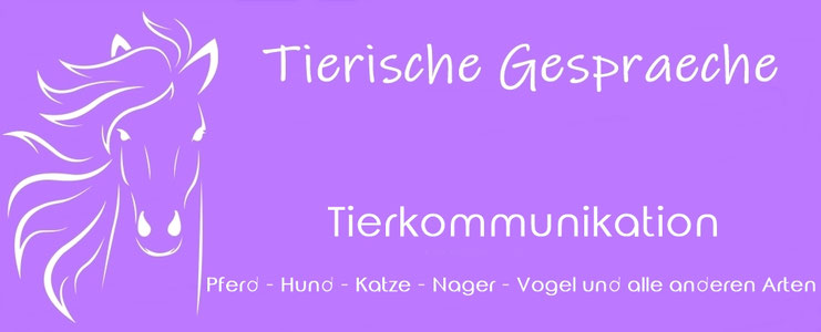 Tierkommunikation - telepathische Verbundenheit mit Tieren