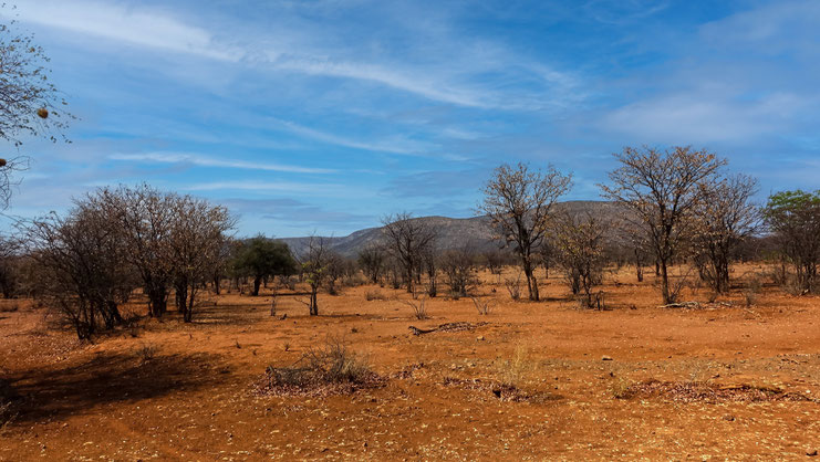Paysage du Kaokoland, Namibie