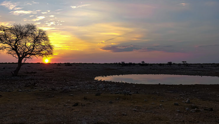 Coucher de soleil, Etosha