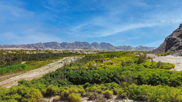 Piste désertique vers la rivière Hoanib, Namibie