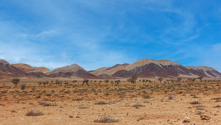 Silence dans le désert du Namib