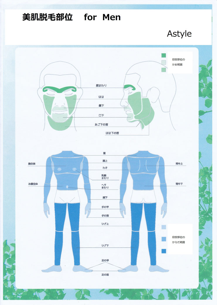 Astyle　脱毛部位表