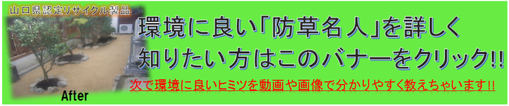 まさ王 雑草処理 角島 レノファ 草まみれ