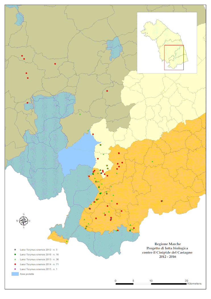 Fonte Assam, Mappa Lanci Torymus