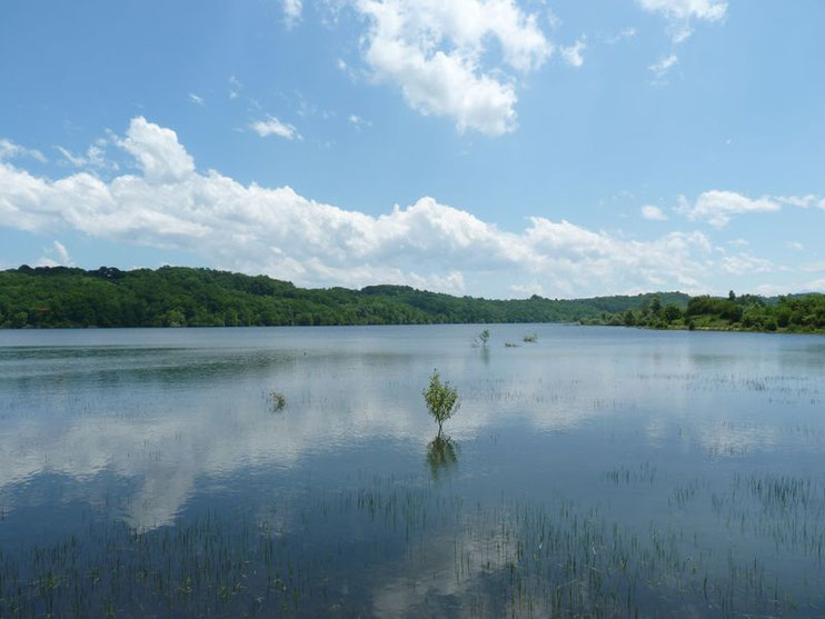 Les Lacs - Mairie de Sedzère - Site Officiel