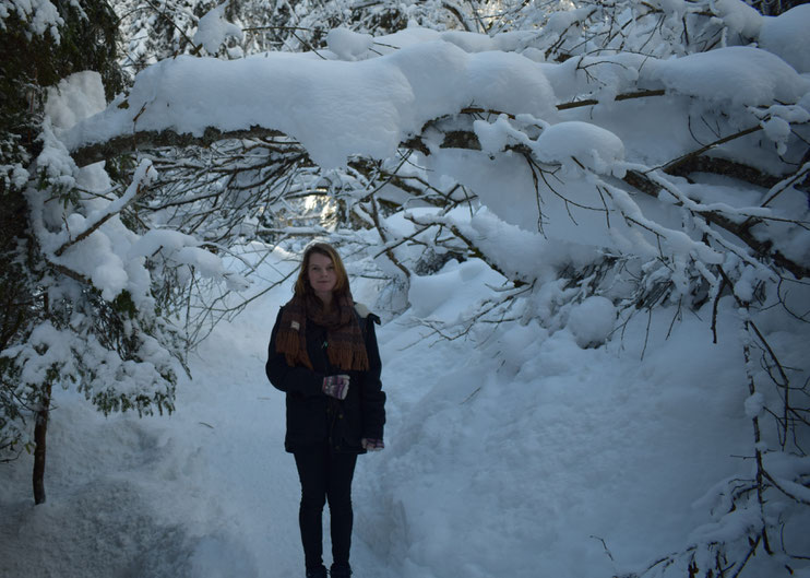 Winter snow, Morgins, Switzerland 