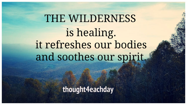 The wilderness is healing.  It refreshes our bodies and soothes the spirit.  ~ thought4eachday.com