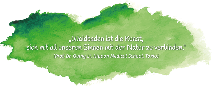 Kordula´s Waldbaden, Bad Pyrmont, Shinrin Yoku, Lügde, Hameln, Wald, eintauchen, Sinne, Gesundheit, Kordula Lensdorf