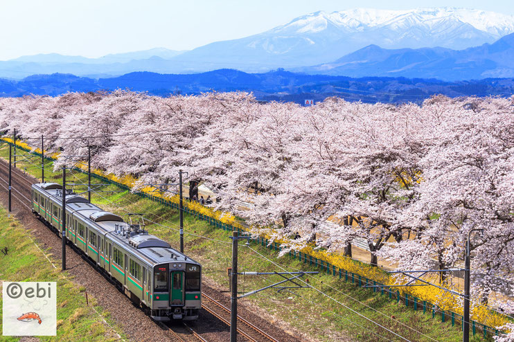 東北本線