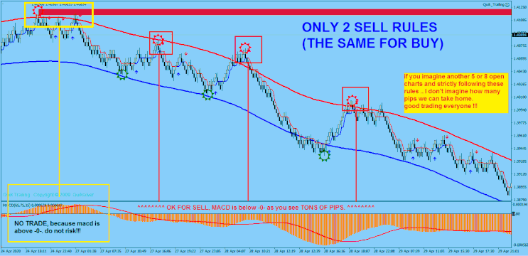  Renko with Half Trend and MACD