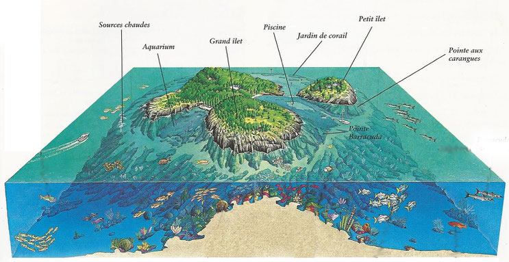 Les îlets Pigeon ou la réserve Cousteau