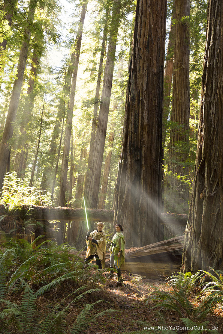 Star Wars Endor visit Luke Skywalker Leia Organa real forest