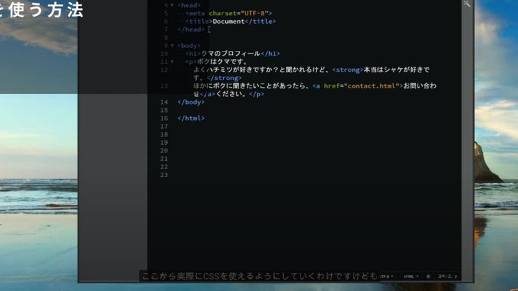 YouTube Web Beeチャンネル