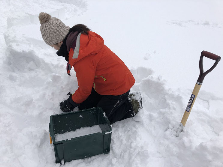 雪のブロックはこんな箱（コンテナ）を使って作ります