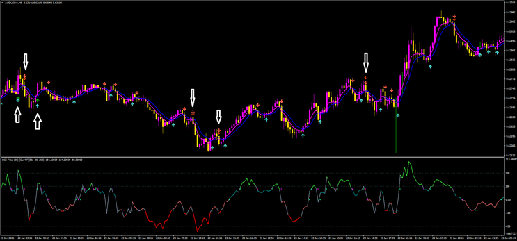 Binary Shark Trading System