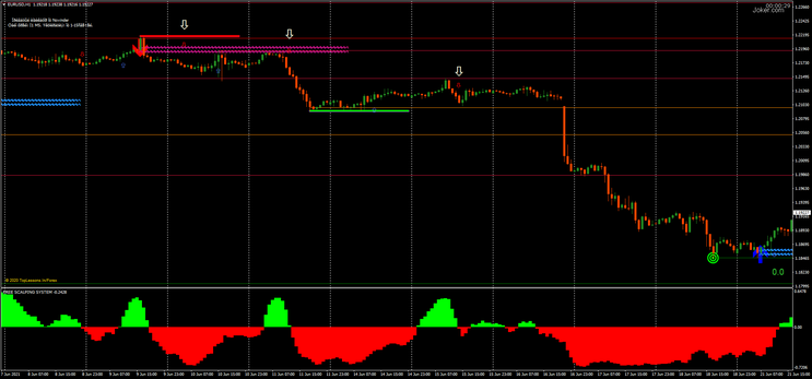 Reversal Point FX Strategy