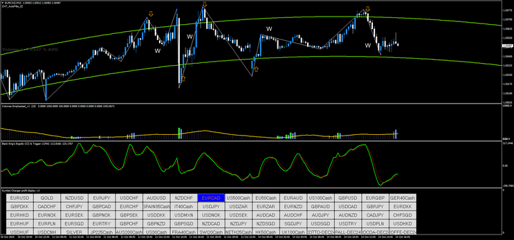 Binary Forex System