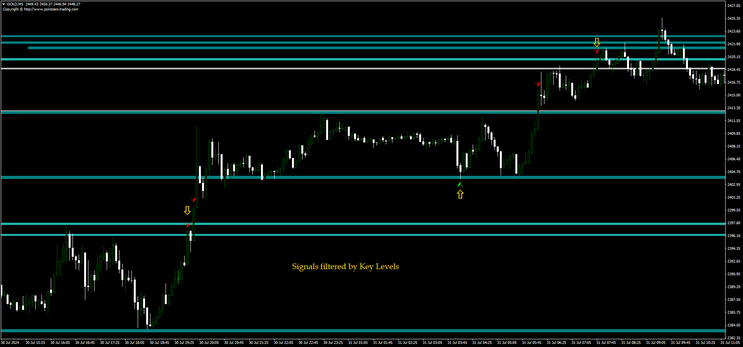 Biforex Pro Indicator