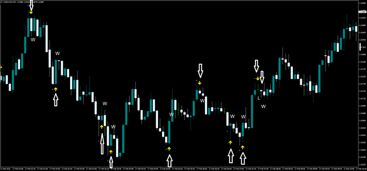 RSI Reversal Arrow Binary Strategy